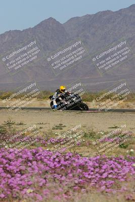 media/Feb-04-2023-SoCal Trackdays (Sat) [[8a776bf2c3]]/Turn 15 Inside Blooming (1050am)/